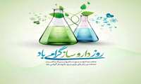 مدیر شبکه بهداشت و درمان شهرستان حاجی آباد در پیامی روز داروساز را تبریک گفت؛